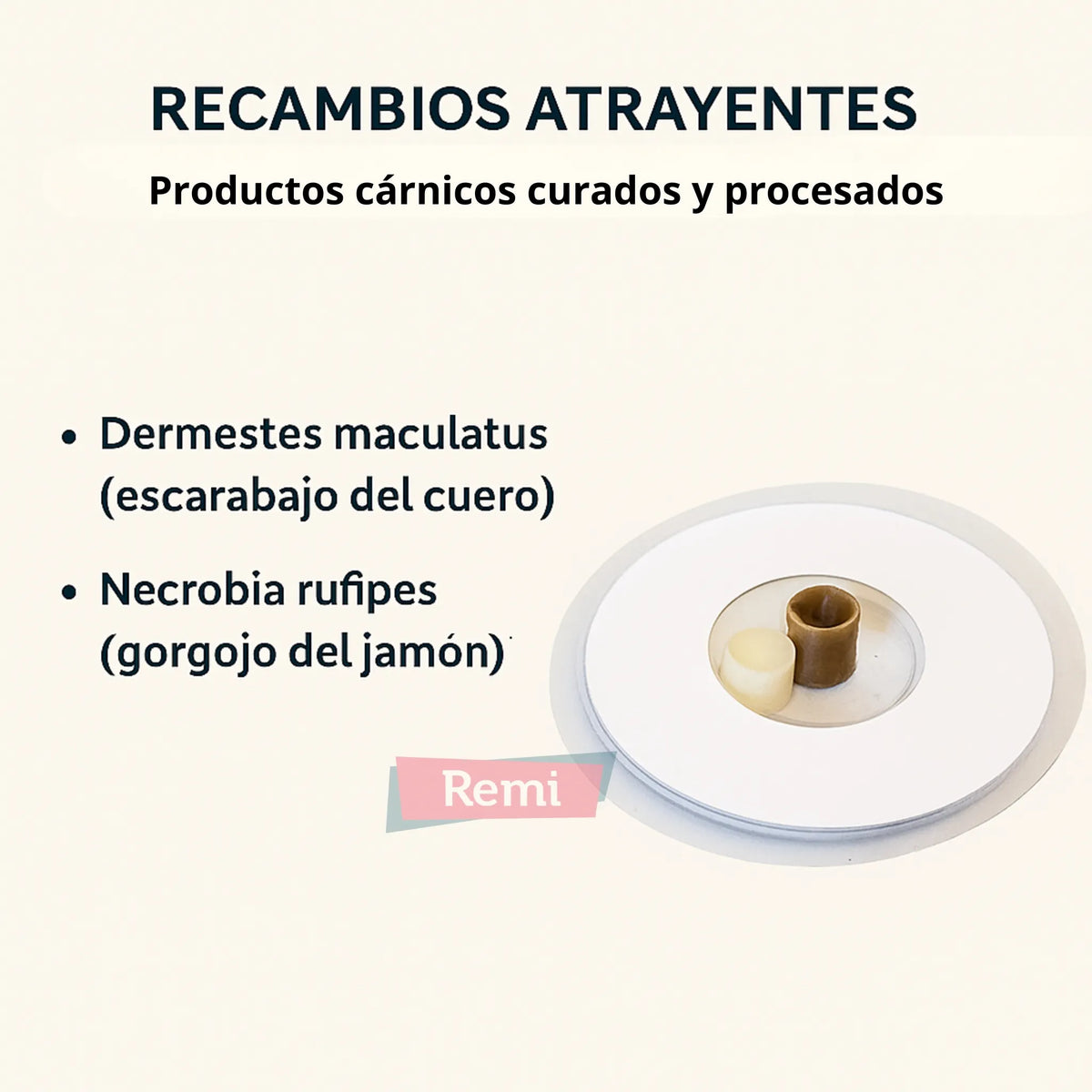 Recambios atrayente 10 unidades - Xlure HHB - Remi Hogar