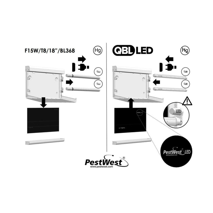 Repuesto tabla adhesiva LED Chameleon PestWest