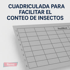 Tabla Adhesiva Chameleon Qualis IP - PestWest - Remi Hogar