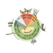 Trampa para procesionaria - Cubo Procerex - Remi Hogar