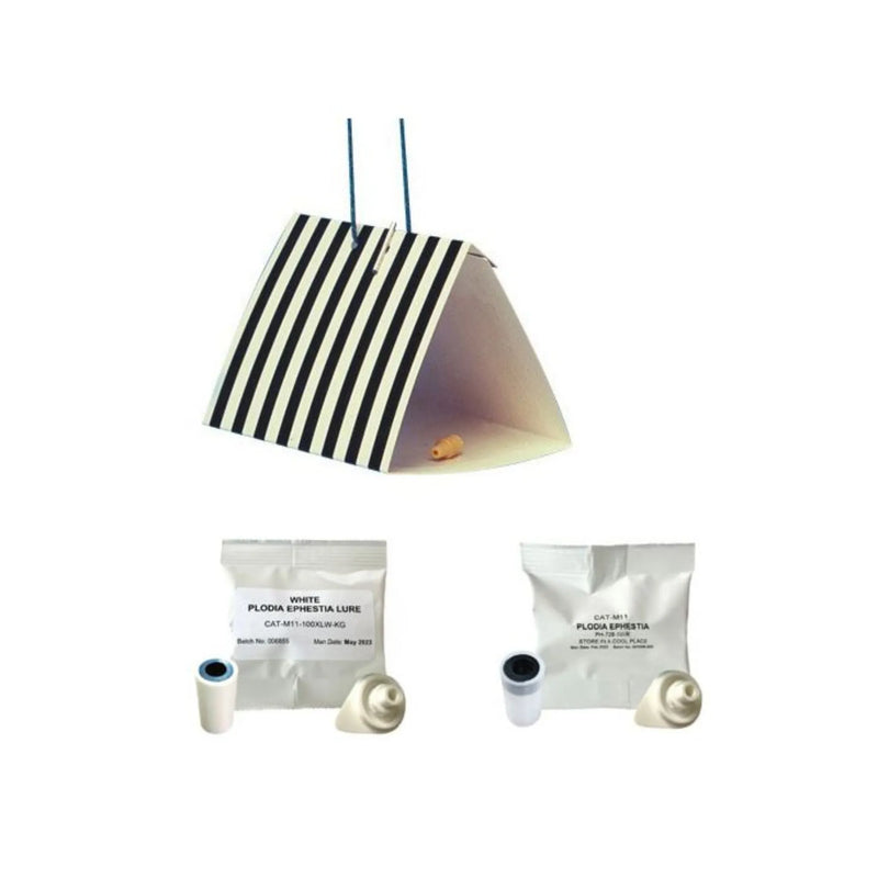 Trampa Delta para Polillas de la Harina - Remi Hogar