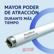 Tubo Quantum BL UV - 15W T5 30 cm - Remi Hogar