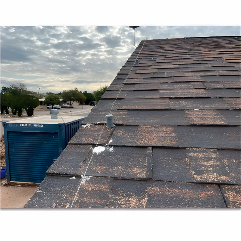 Dispositivo ahuyentador de aves Wingzaway para palomas hasta 200 m lineales