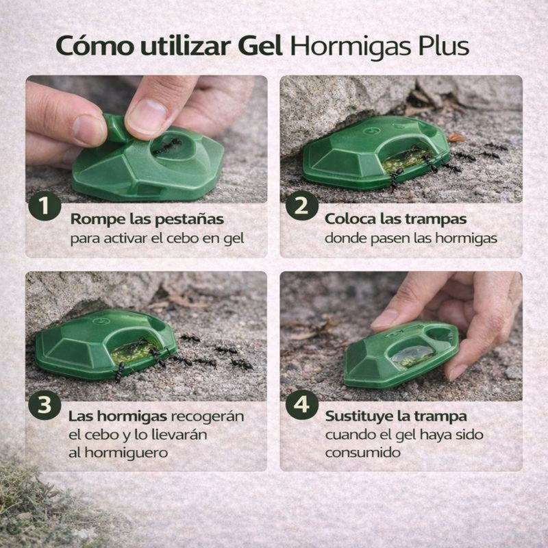 Pack 4 Trampas Gel Hormigas Plus - Remi Hogar - Remi Hogar
