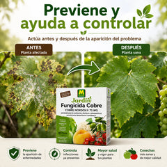 Preben Nordox WG fungicida de cobre para la protección integral de cultivos