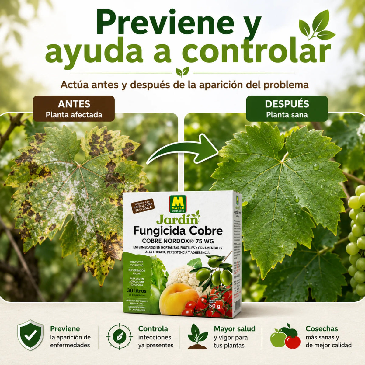 Preben Nordox WG fungicida de cobre para la protección integral de cultivos