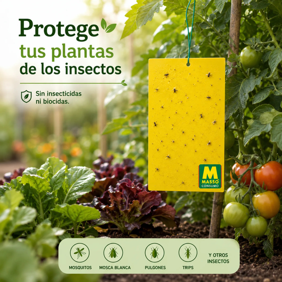 Trampas adhesivas de doble cara sin insecticidas ni biocidas 10 unidades Preben Jardín