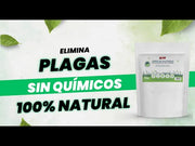 Kit Tierra de Diatomeas 1 kg de alta pureza y Pulverizador 2 L insecticida