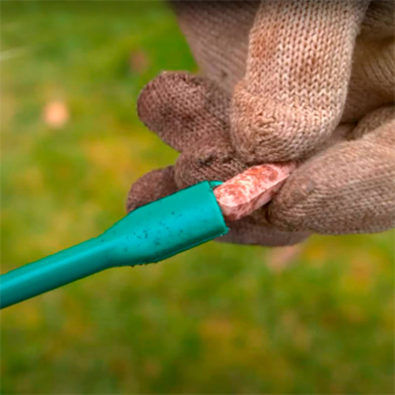 Sanium Pin Insecticida sistémico con fertilizante para plantas - Remi Hogar
