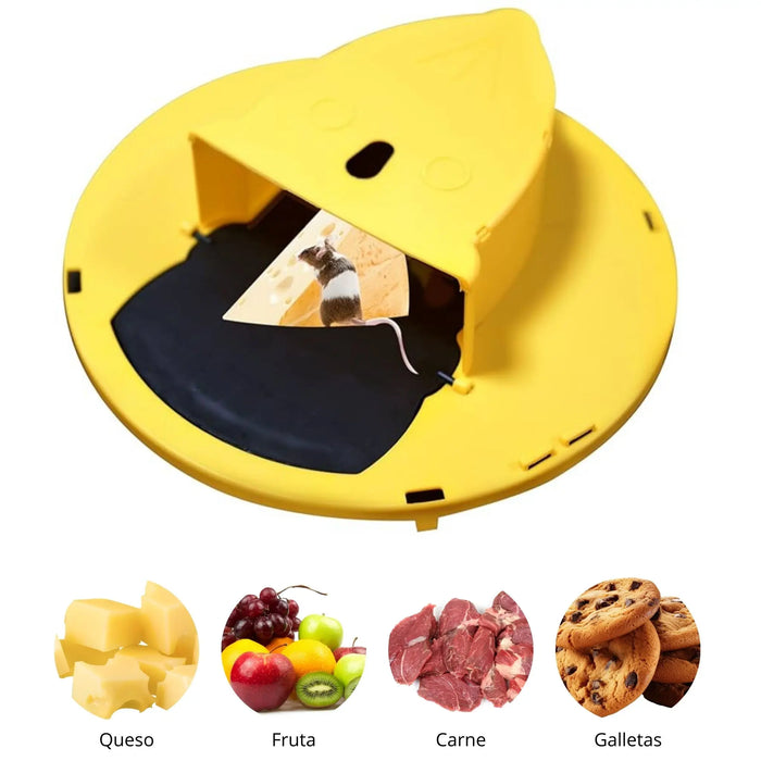 Trampa para ratas con tapa de cubo ratas y ratones