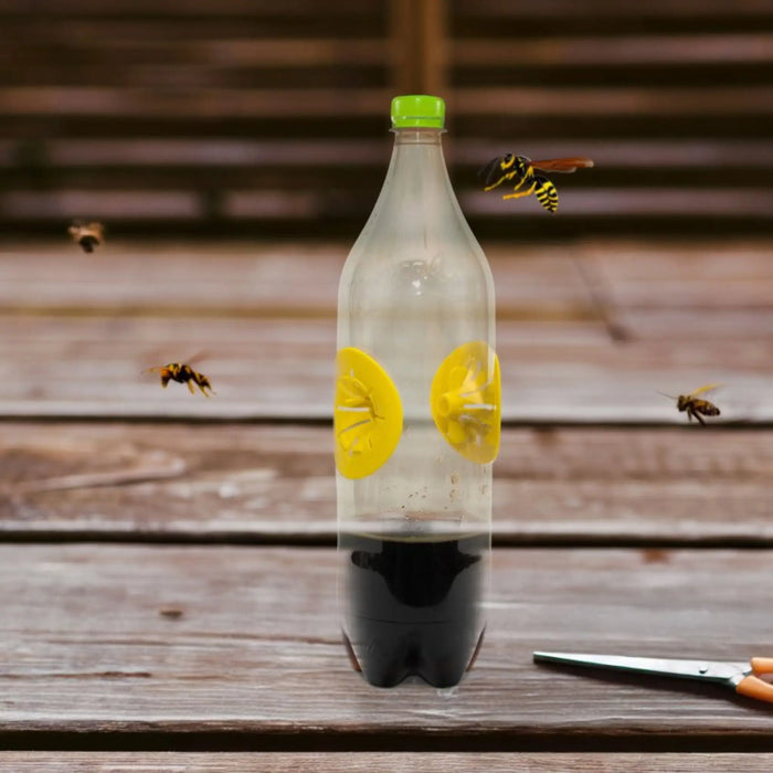 Trampa de avispas DIY Preben - Massó