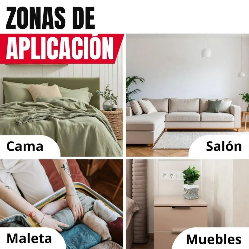 Trampa de control chinches PL monitor - Remi Hogar