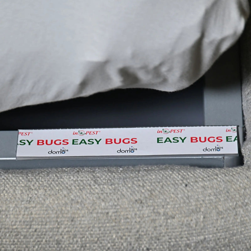 Pack 10 Trampas adhesivas con atrayente para chinches de cama - Monitor Easy Bugs - Remi Hogar
