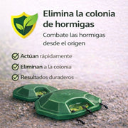 Pack 4 Trampas Gel Hormigas Plus - Remi Hogar - Remi Hogar