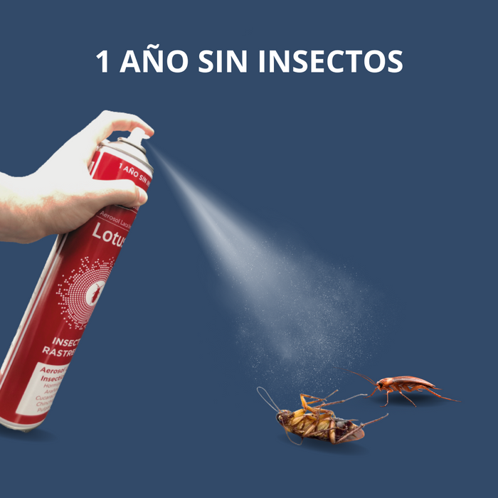 Laca - Spray insecticida para insectos Rastreros con cánula 750 ml