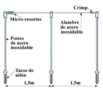 Micro-Resortes de Acero Inoxidable 10 unidades - Remi Hogar