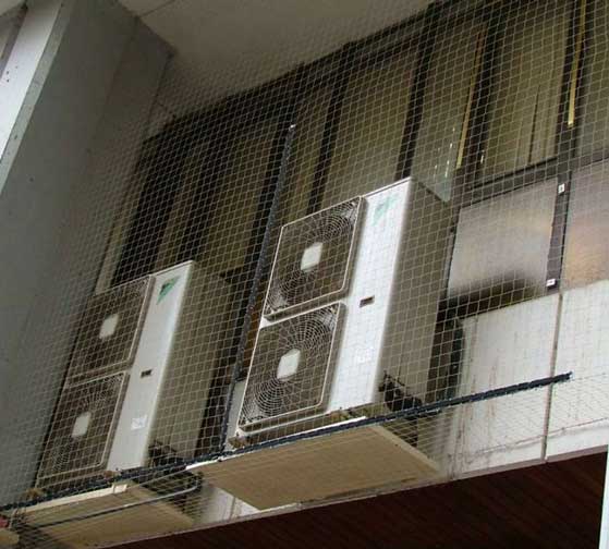 Redes Anti Gorriones - Remi Hogar