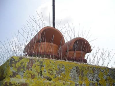 Pinchos Anti palomas E - 30 Base Policarbonato (1 metro) - Remi Hogar