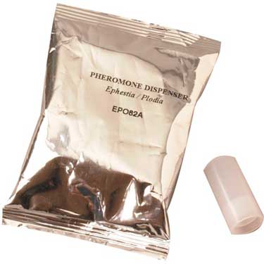 Feromona para Polilla de la Harina 10 Unidades - KG - Remi Hogar