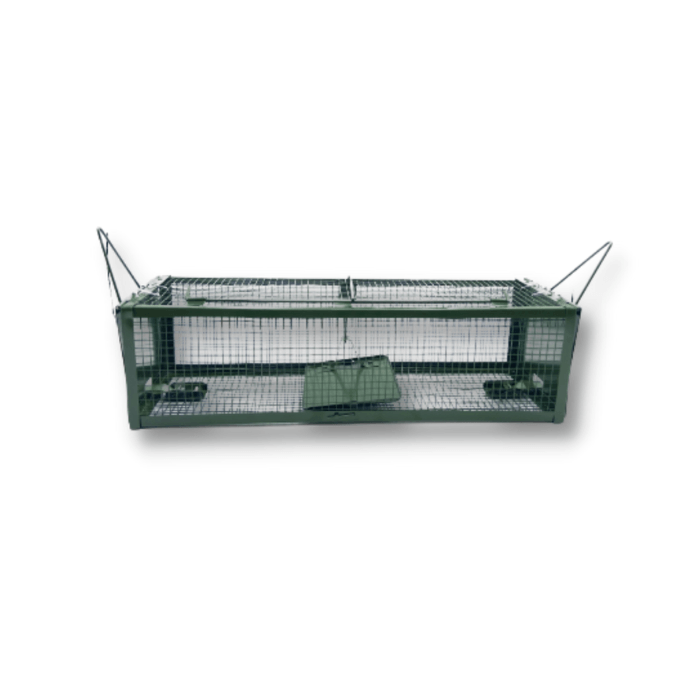 Jaula Captura Ratas y Ratones - Remi Hogar - Remi Hogar