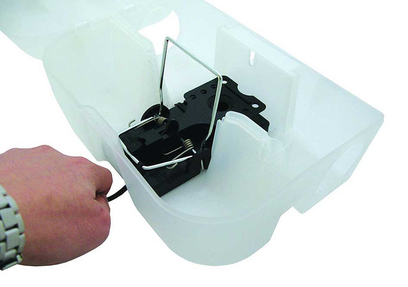 Portacebos transparente rata y ratón - Pest - stop - Remi Hogar