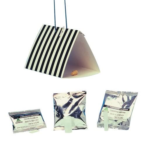 Trampa para Escarabajos del tabaco - Remi Hogar