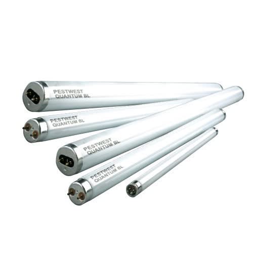 Tubo Quantum BL UV - 15W T8 45cm - Remi Hogar